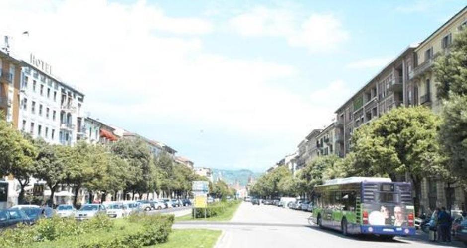 Sunny * Verona